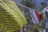 tkf003_666005