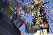 tkf003_666013