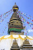tkf003_666065