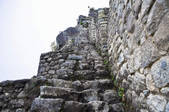 tkf003_666318
