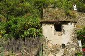 tkf003_674482