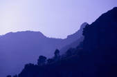tkf003_675160