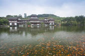 tkf003_677094