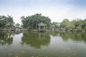 tkf003_677251