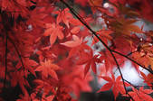 tkf003_681107