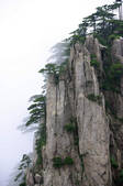 tkf003_682238