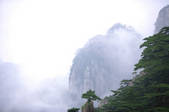 tkf003_682240