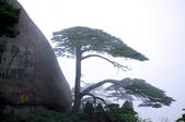 tkf003_682244