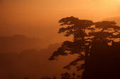 tkf003_682251