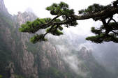 tkf003_682253
