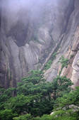 tkf003_682258