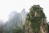 tkf003_682259