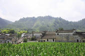 tkf003_682284