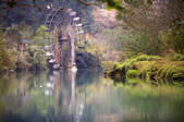 tkf003_684029