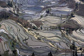 tkf003_684101