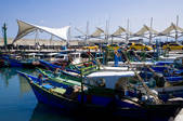 tkf003_685023