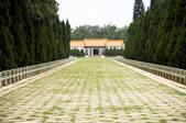 tkf003_685373