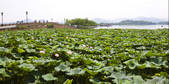 tkf003_685432