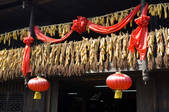 tkf003_685846