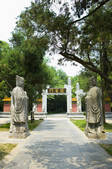 tkf003_686381