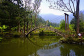 tkf003_686439