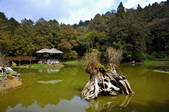 tkf003_686605