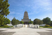 tkf003_686660