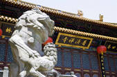 tkf003_686796