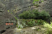 tkf003_686911