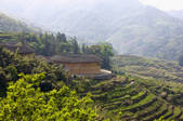 tkf003_687215