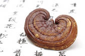 tkf003_688343