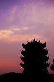 tkf003_688597
