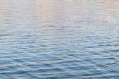tkf003_701359