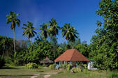 tkf003_710692