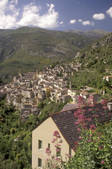 tkf003_711959