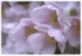 tkf003_712257