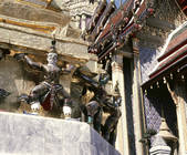 tkf003_713227