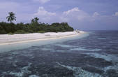 tkf003_713256
