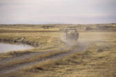 tkf003_716304