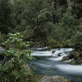 tkf003_717050