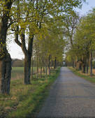 tkf003_806051