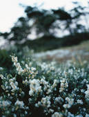 tkf003_809953