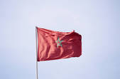 tkf003_810311