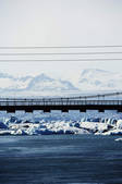tkf003_814443