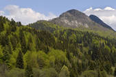 tkf003_958657