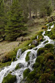 tkf003_958869