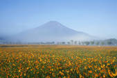 tkf003_961819