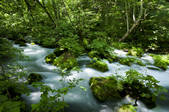 tkf003_967005