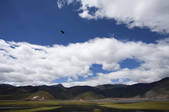 tkf003_988134