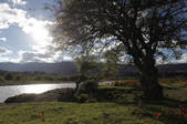 tkf003_988302